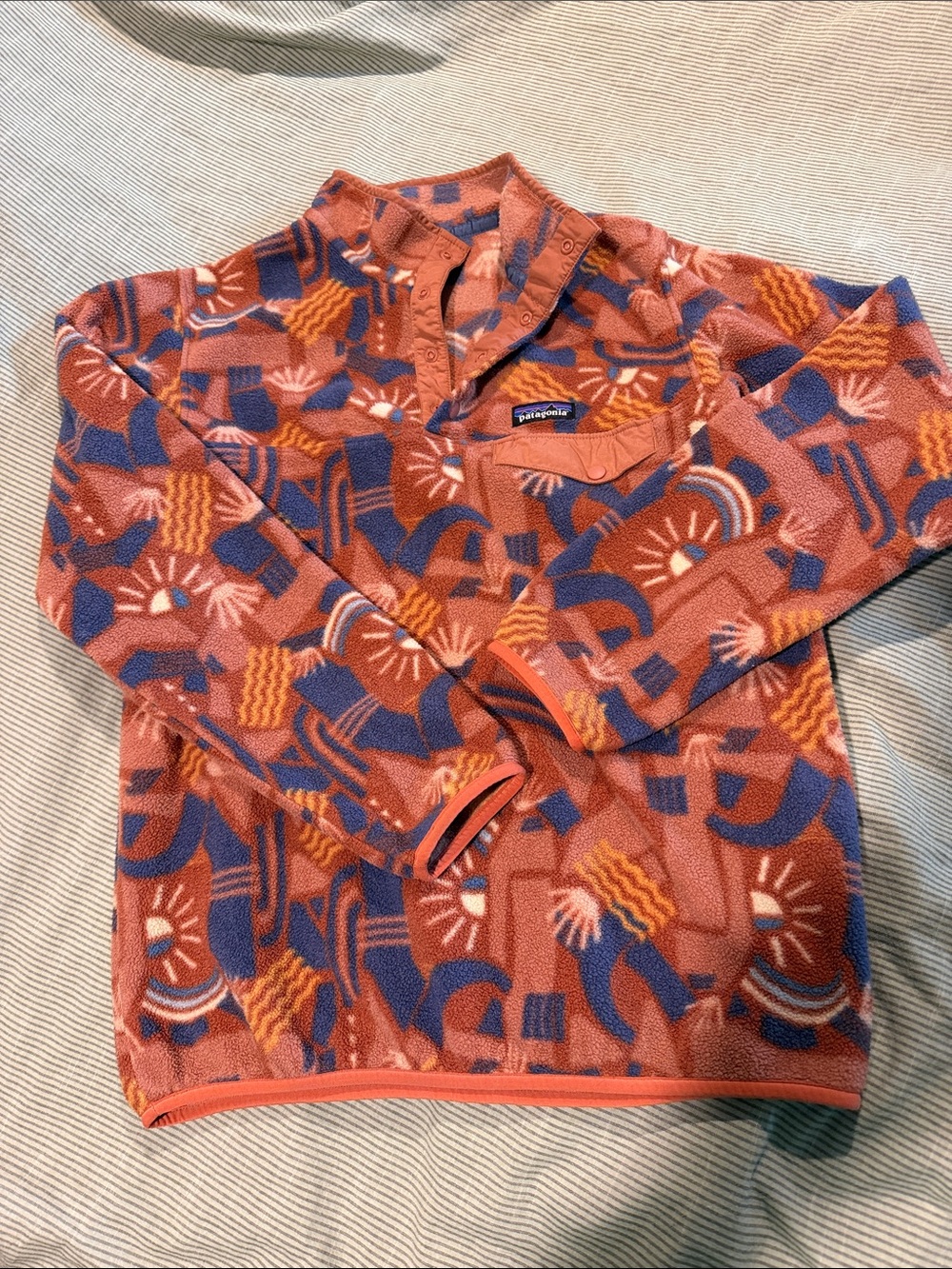 Patagonia Men’s Canon Block Y2K Synchilla Fleece